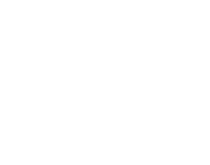 175_logo