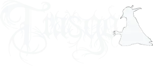 Logo Trasgo